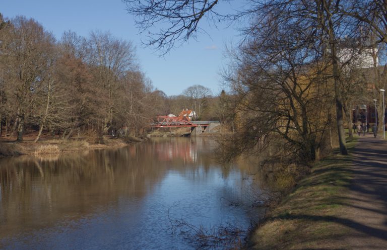 Allmän linje vid Lycksele folkhögskola läggs ner – elever oroade