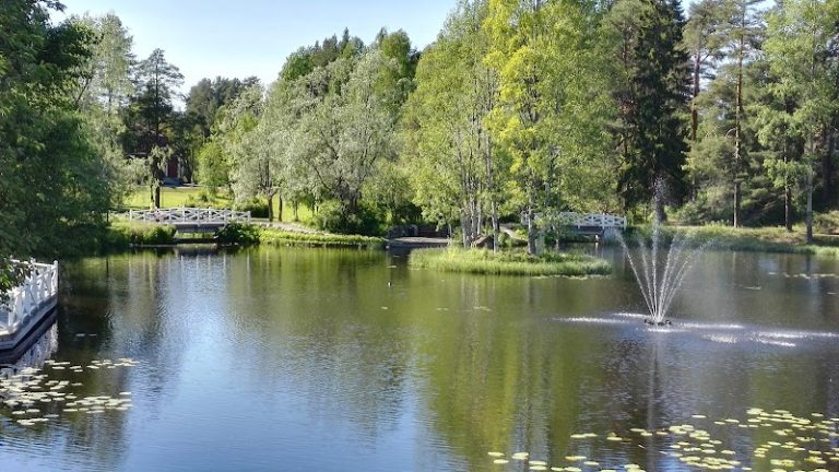 Man döms till fängelse efter bilstöld och grovt rattfylleri i Malå