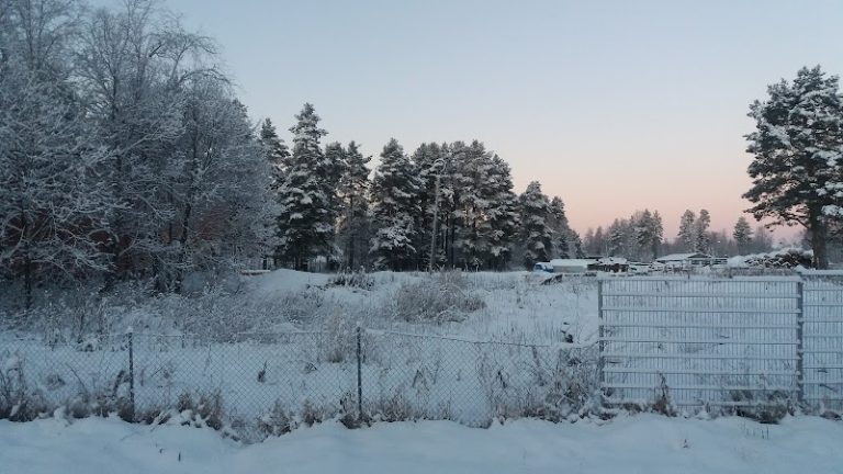 Planerade avbrott i mobilnätet vecka 49 i Lycksele